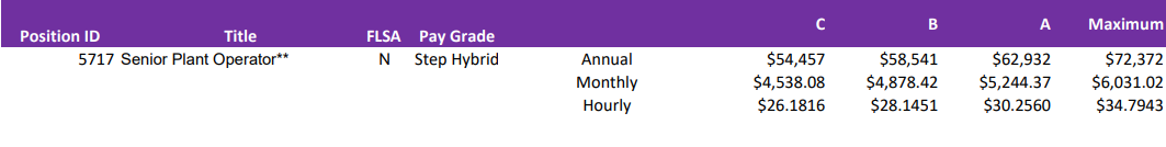 Senior Plant Operator - Wastewater Treatment Plant (Hiring Incentive: $1,000) description image